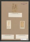 Navicula sp. (de-Toni-Nr.: Genus 1) Zeichnungen Sammlung Grunow Nr. 1649 (NHMW-BOT-W0368209)